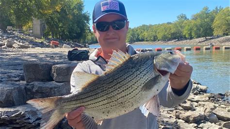 Any White Bass reports from the spillway or lake 3; Jun 16, 2018 Ronald Sanders 0. . Carlyle lake spillway fishing report